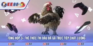 đá gà trực tiếp